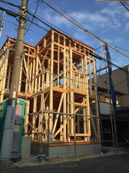 38836058_1859381574148617_3921471386547126272_n